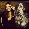 yesly avatar